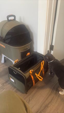 Cat carriers  and stroller