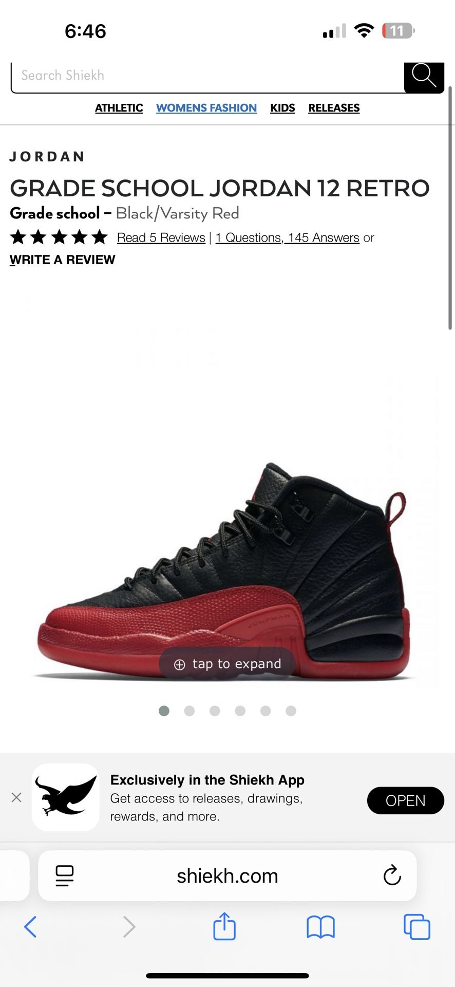 Brand New Jordan 12 Retro