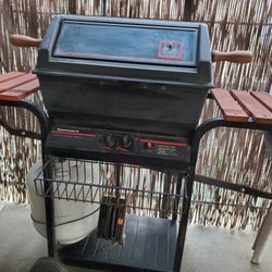 BBQ Gas Grill