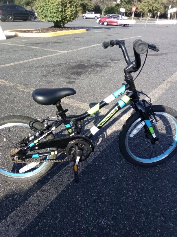 Guardian 16 Inch Bike