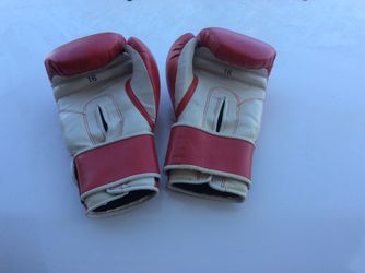 Everlast boxing gloves