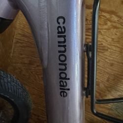 Cannondale Cruiser