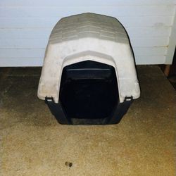 Dog House 