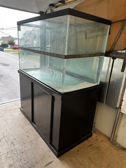 150 Gallon tank w/ Stand *new 
