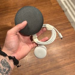 Google Home Mini