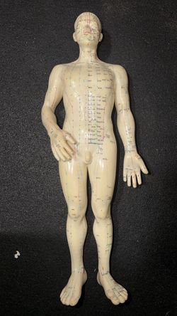Human Acupuncture Point Model Figure