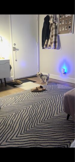 Rug
