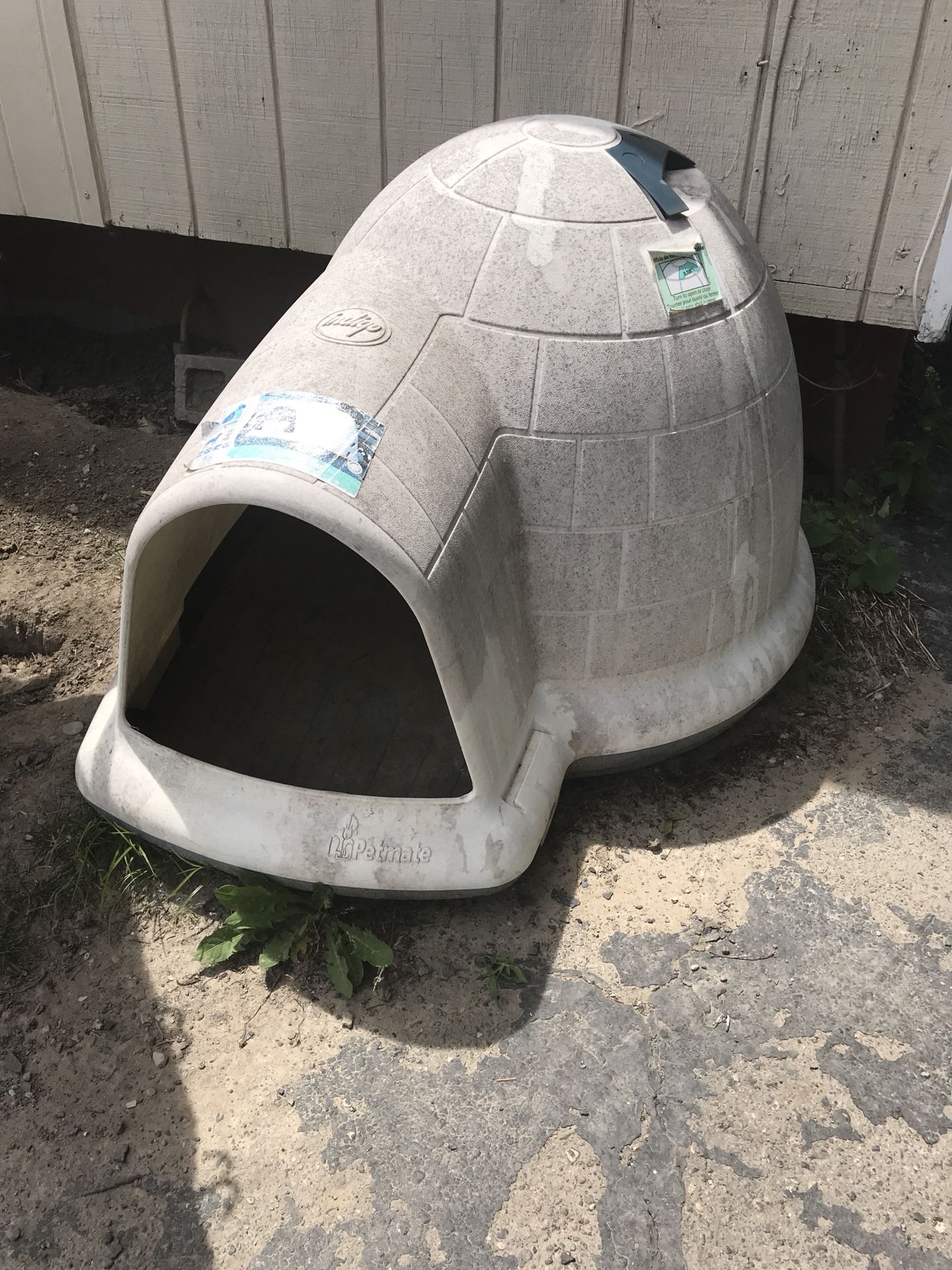 Dog igloo