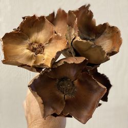 Palm Caps -  Decor Dried Flowers 