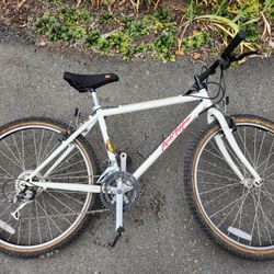 Specialized Rockhopper Mountain Bike