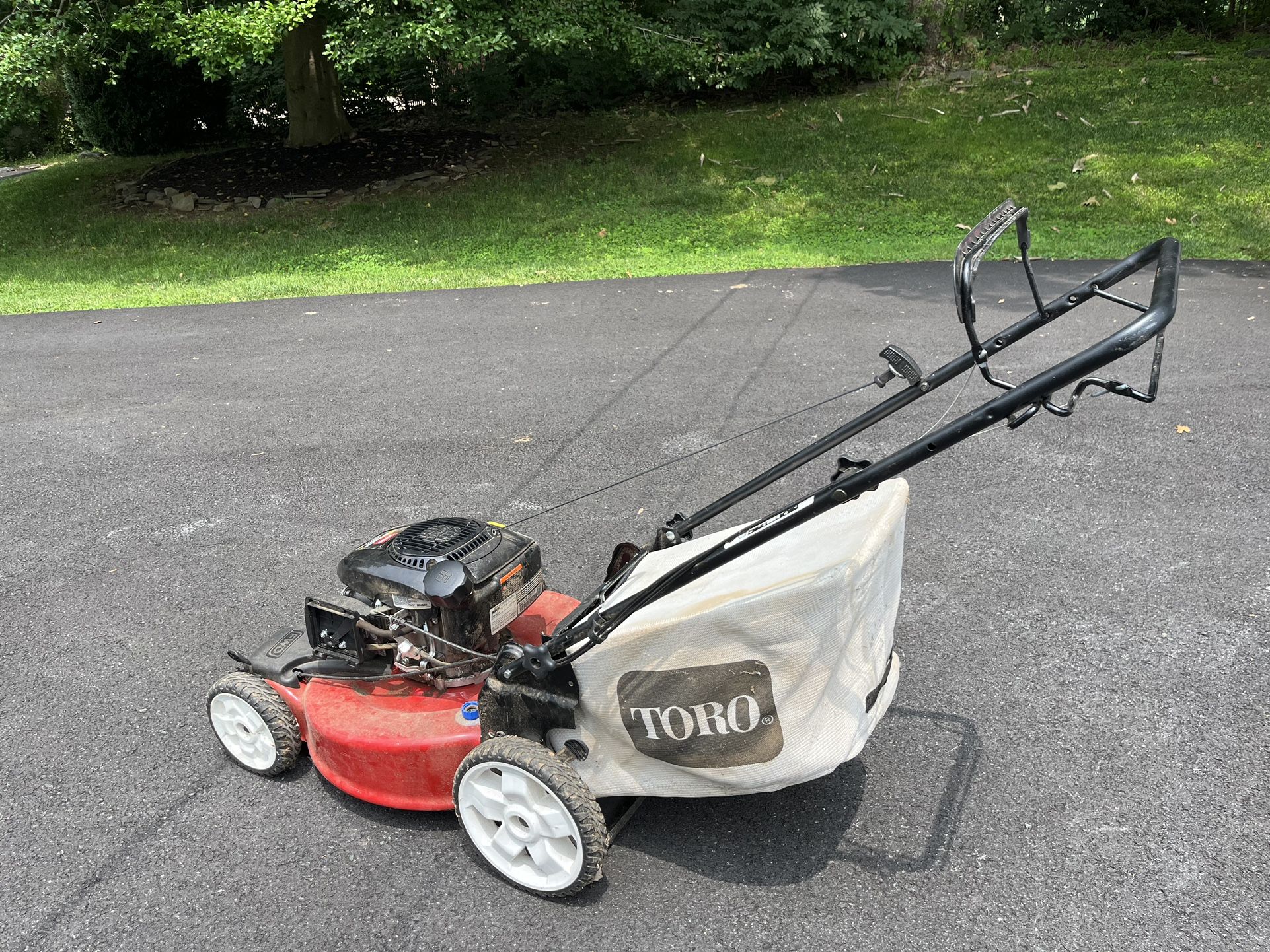 Toro Recycler High Wheel 20378 22 in. 149 cc Gas Self-Propelled