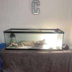 75 Gallon Tank