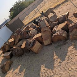 Firewood 