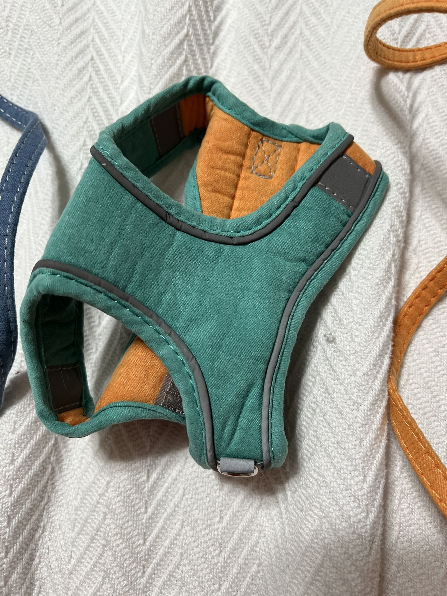 Animal Harnesses And Leashes