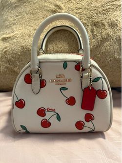 Coach and MK purse