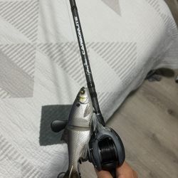Lews speed spool on Carbon lite glide bait rod 