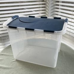 Large Sterilite Tote 