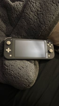 Switch Lite With Screen Protecter