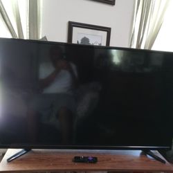 48 inch TV Insignia No Pic 