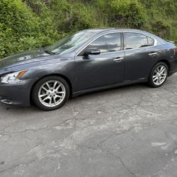 Nissan Maxima Sport