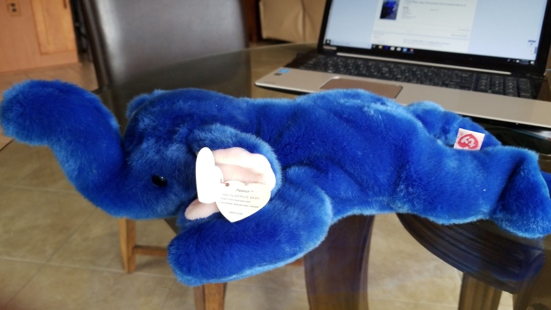 1998 Royal Blue Peanut Beannie Buddy, Pristine,pellets
