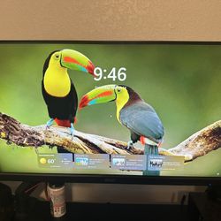 Acer 24 Inch Monitors