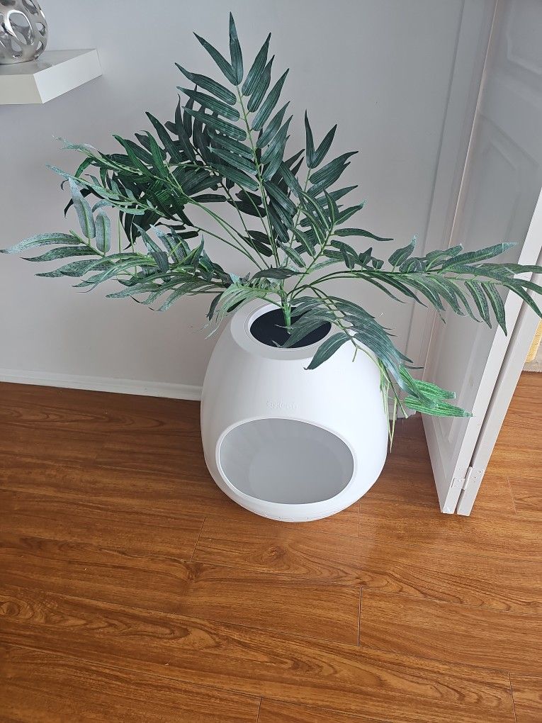 Litter Box