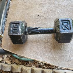 20 Lb Hand Weight