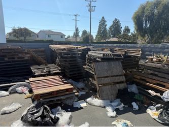 Free pallets! Pallets Gratis!