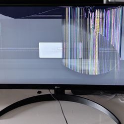 LG 29” IPS LED UltraWide FHD 100Hz AMD FreeSync Monitor with HDR (HDMI, DisplayPort) - Working Screen Cracked