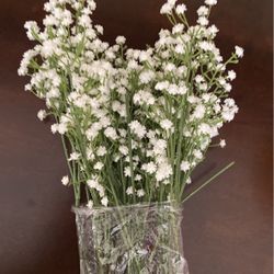 Baby Breath Flowers 