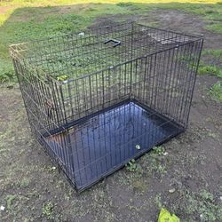 Large Dog Crate 