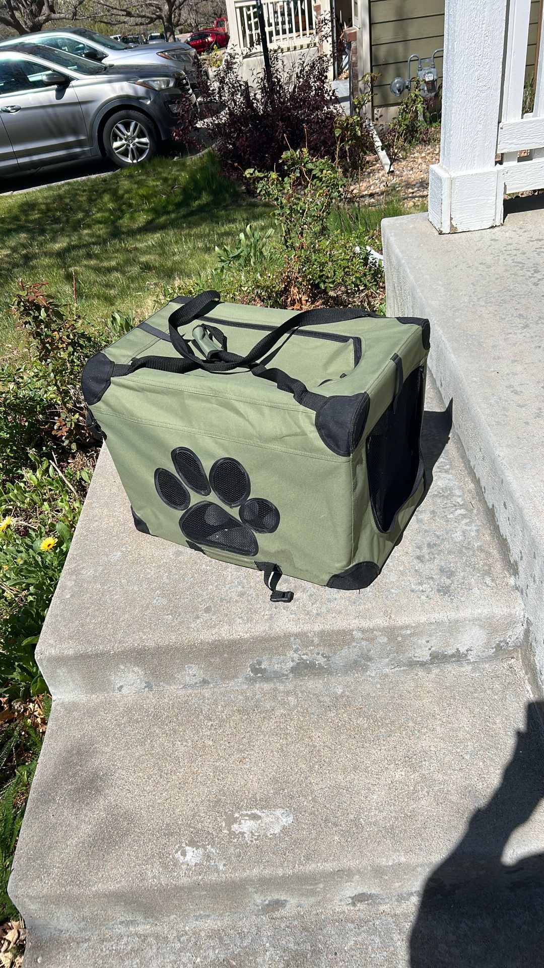 Pet Carrier