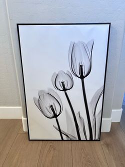 36x24 Large Floating Framed Black and White Tulip Floral Canvas Artwork