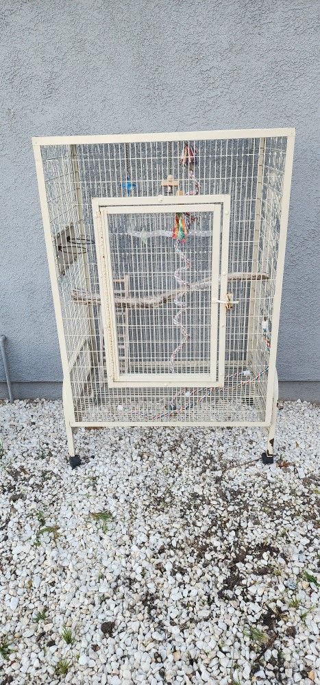 Bird Cage