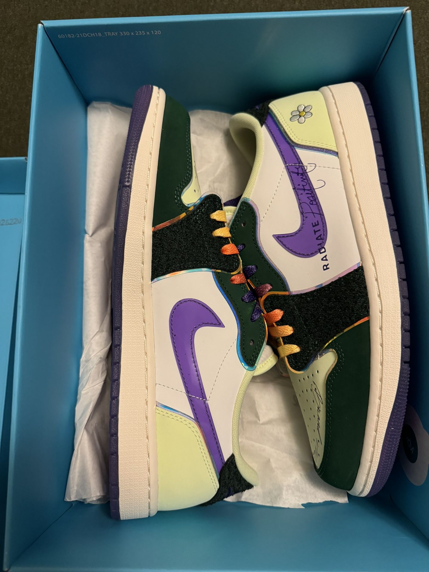 Air Jordan 1 Dorenbecher 