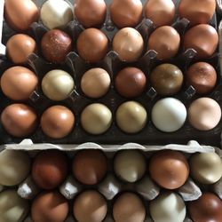 Farm Fresh Eggs