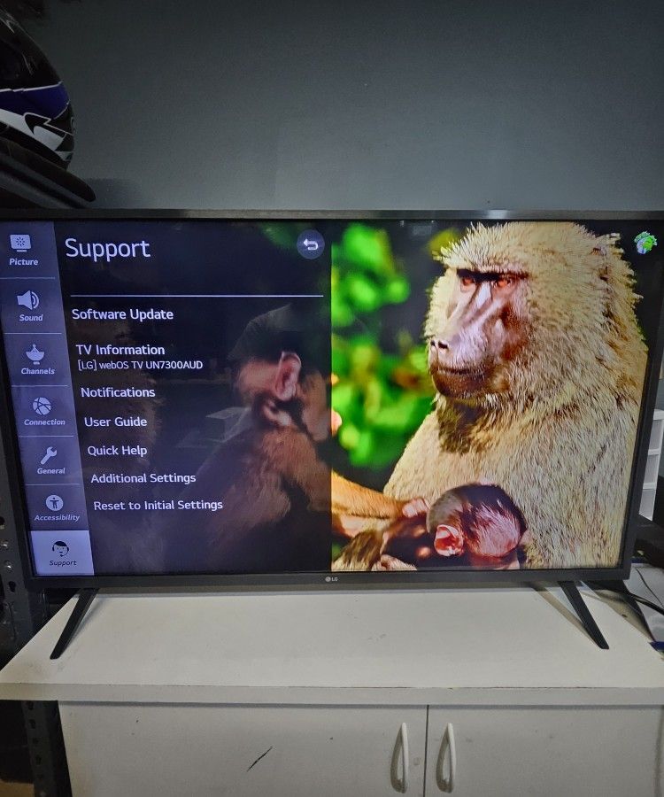lg 43un7300aud Includes Remote
