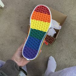 Vans Rainbow Special Edition