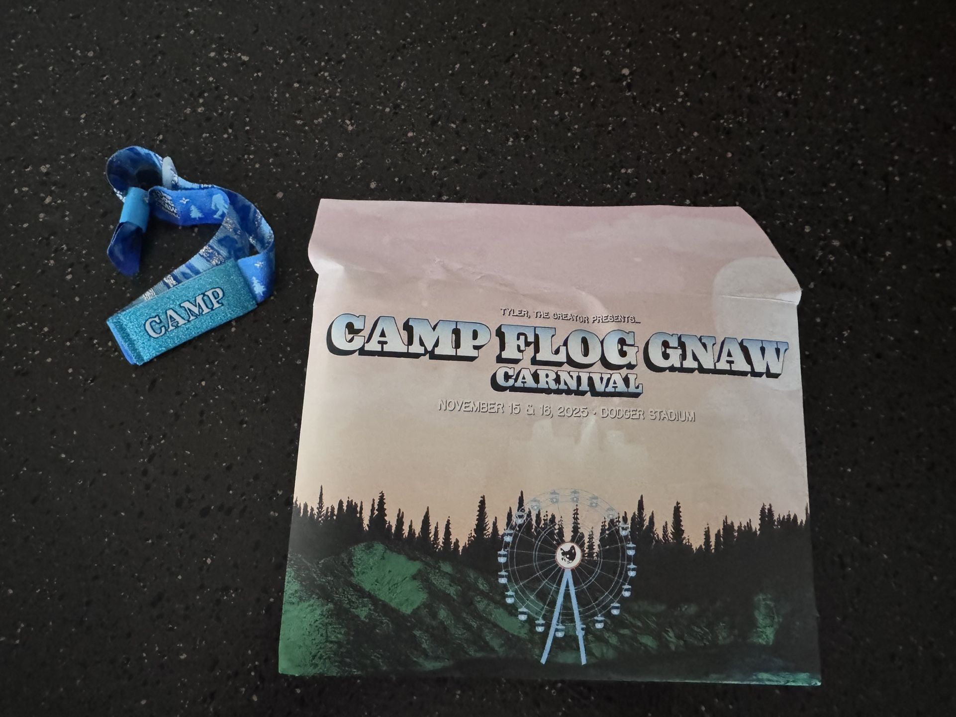 Camp Flog Gnaw GA Wristband