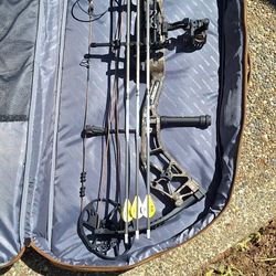 Bear Paradigm Bow