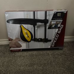 Punching Bag