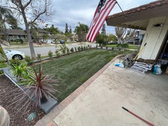 Marathon Grass / Sod For Sale (Cut To Order)