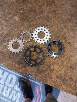 Single Speed Cogs
