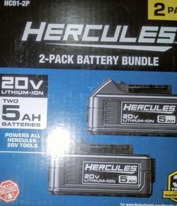 20 Volt Two 5AH Battery Bundle