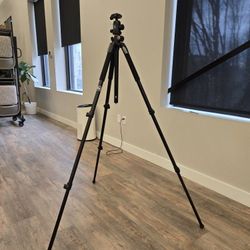 Vanguard Alta Pro 263AT Tripod with SBH-100 Ball Head