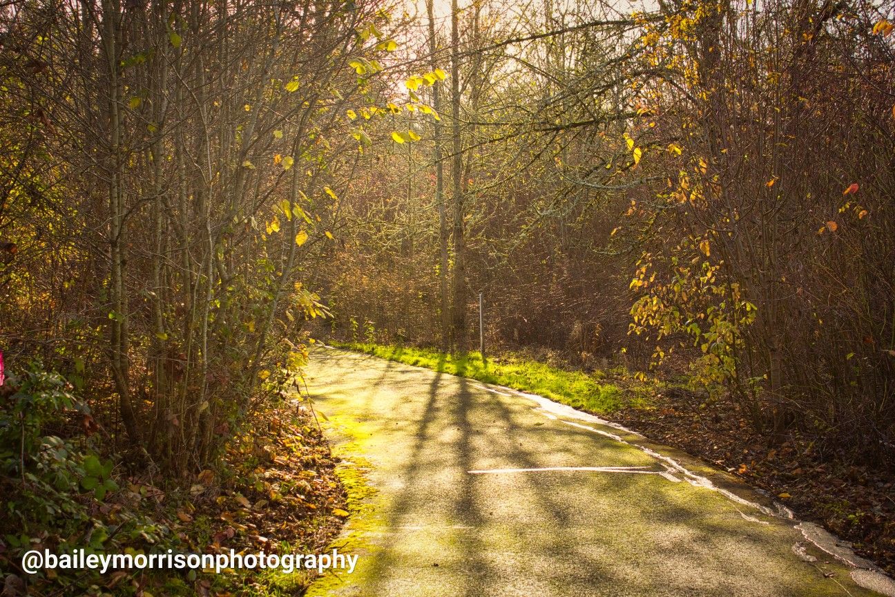 Cheap photography