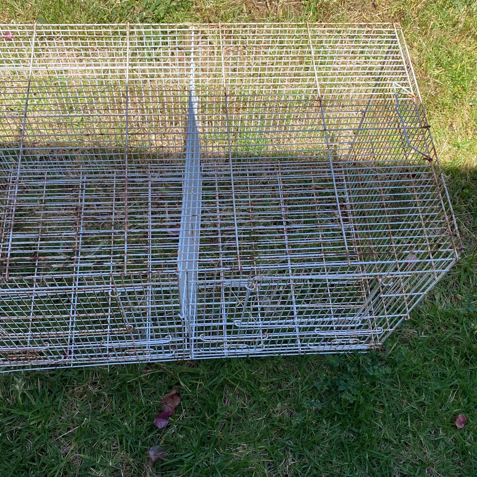 Double Sided Bird Cage