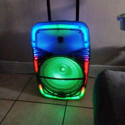 Bluetooth Party Speaker 