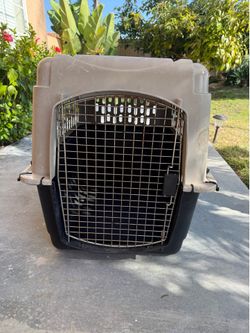 Kennel